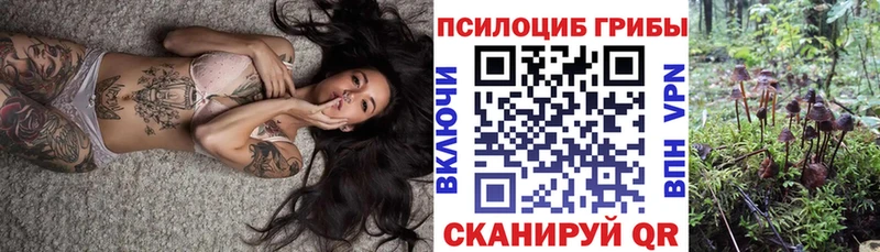 Псилоцибиновые грибы Psilocybe  Набережные Челны 